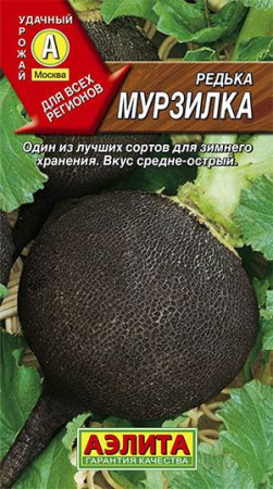 1564