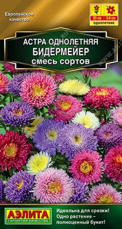 Астра Бидермейер аэлита