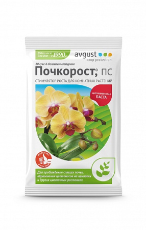 Почкорост август