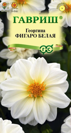 георг