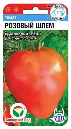 Розовый шлем