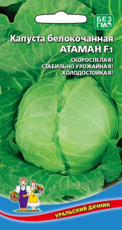 1294