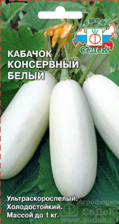 kabachok_konservnyy_belyy