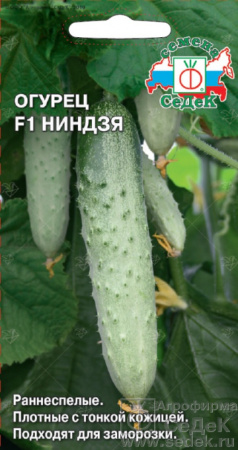 Ниндзя