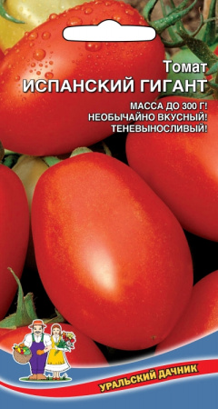 tomat-ispanskiy-gigant