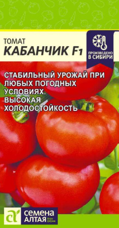 IMG-1538