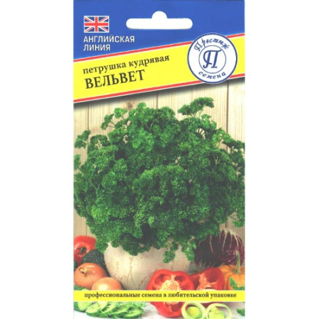 petrushka-kudryavaya-velvet-prestij_1