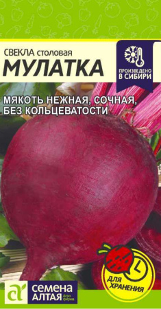 IMG-0606