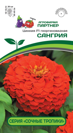 Цинния САНГРИЯ Партнер