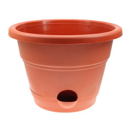 eec3400a97cf1c80995d7f95dc9d0f85_815c69ac1c9451ef6ff2ddc20afebd02_resize