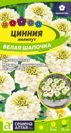 Цинния лилипут Белая Шапочка семена алтая