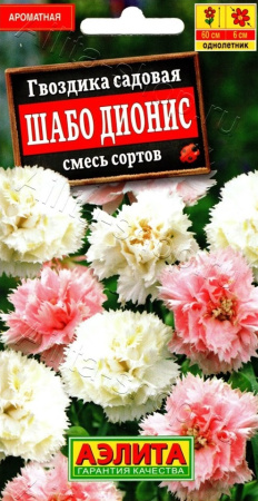 2651