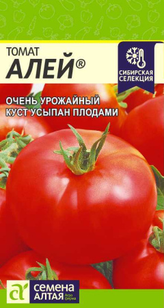 Алей