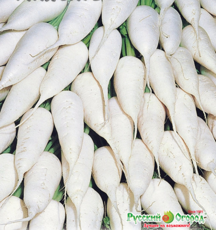 02a40212dd37b99b713f570308d3f911