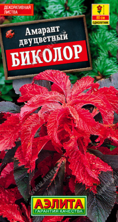 Амарант Биколор аэлита