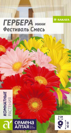 Гербера мини Фестиваль Смесь Сем Алтая
