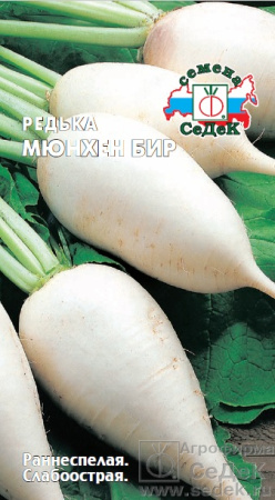 969