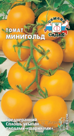 tomat_minigold
