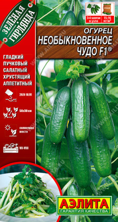 необыкновенное чудо