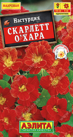 Настурция Скарлетт О'Хара аэлита