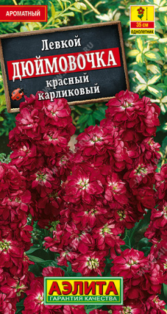 Левкой карликовый Дюймовочка красный аэлита