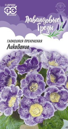 глоксиния ликование гавриш