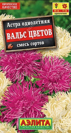 2619