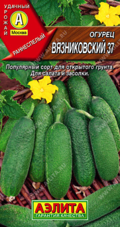 вязниковский