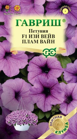 изи