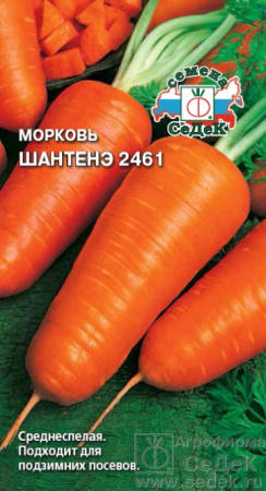 morkov_shantene_2461