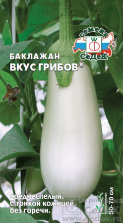 baklazhan_vkus_gribov