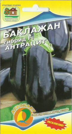 baklazhan_antratsit_eksklyuziv_f1_nash