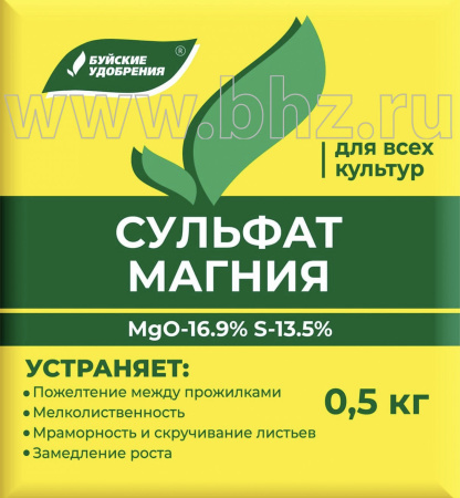 IMG-0080