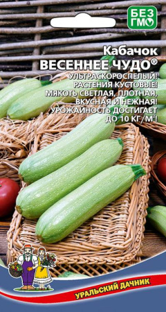 kabachok-vesennee-chudo