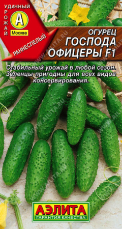 господа офицеры