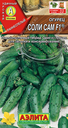 Соли сам