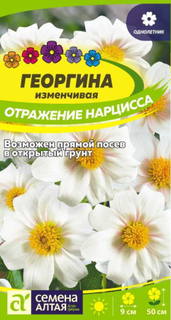 t5ux6puecmbsoi41lrj0idivn70flb4c