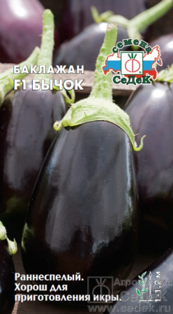 baklazhan_bychok