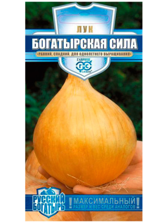 2954