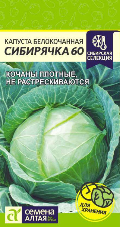 00-00009131