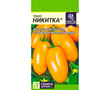 Никитка