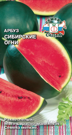 arbuz_sibirskie_ogni