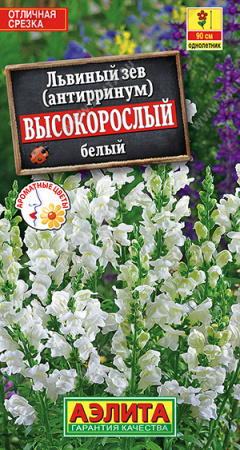 Львиный зев Высокорослый белый аэлита