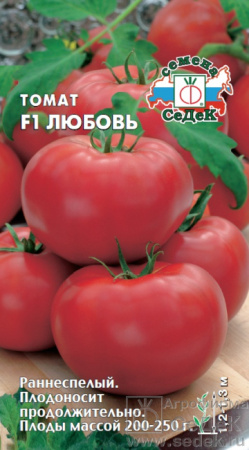 1231
