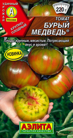 бурый медведь