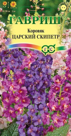2905