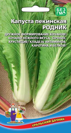 kapusta-pekinskaya-rodnik