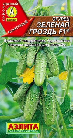 зеленая гроздь