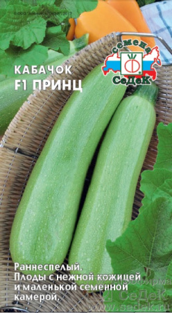 kabachok_prints_f1