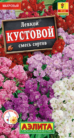 Левкой Кустовой аэлита